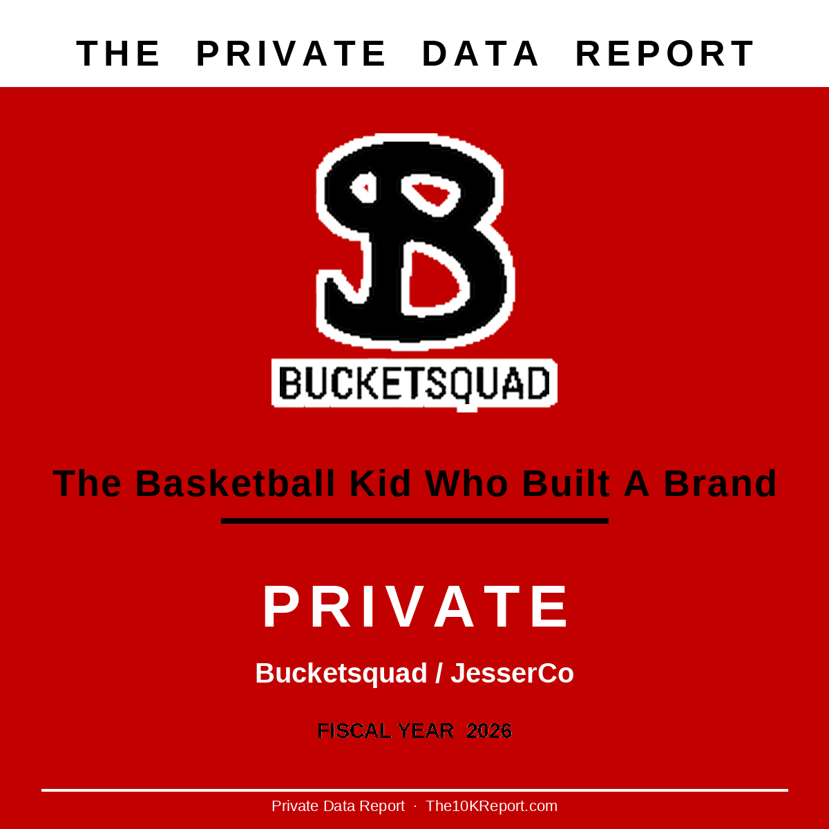 Bucketsquad Private Data Report cover